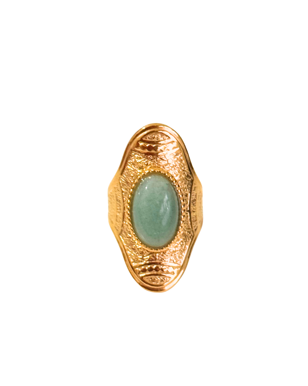 ANILLO GUÍA