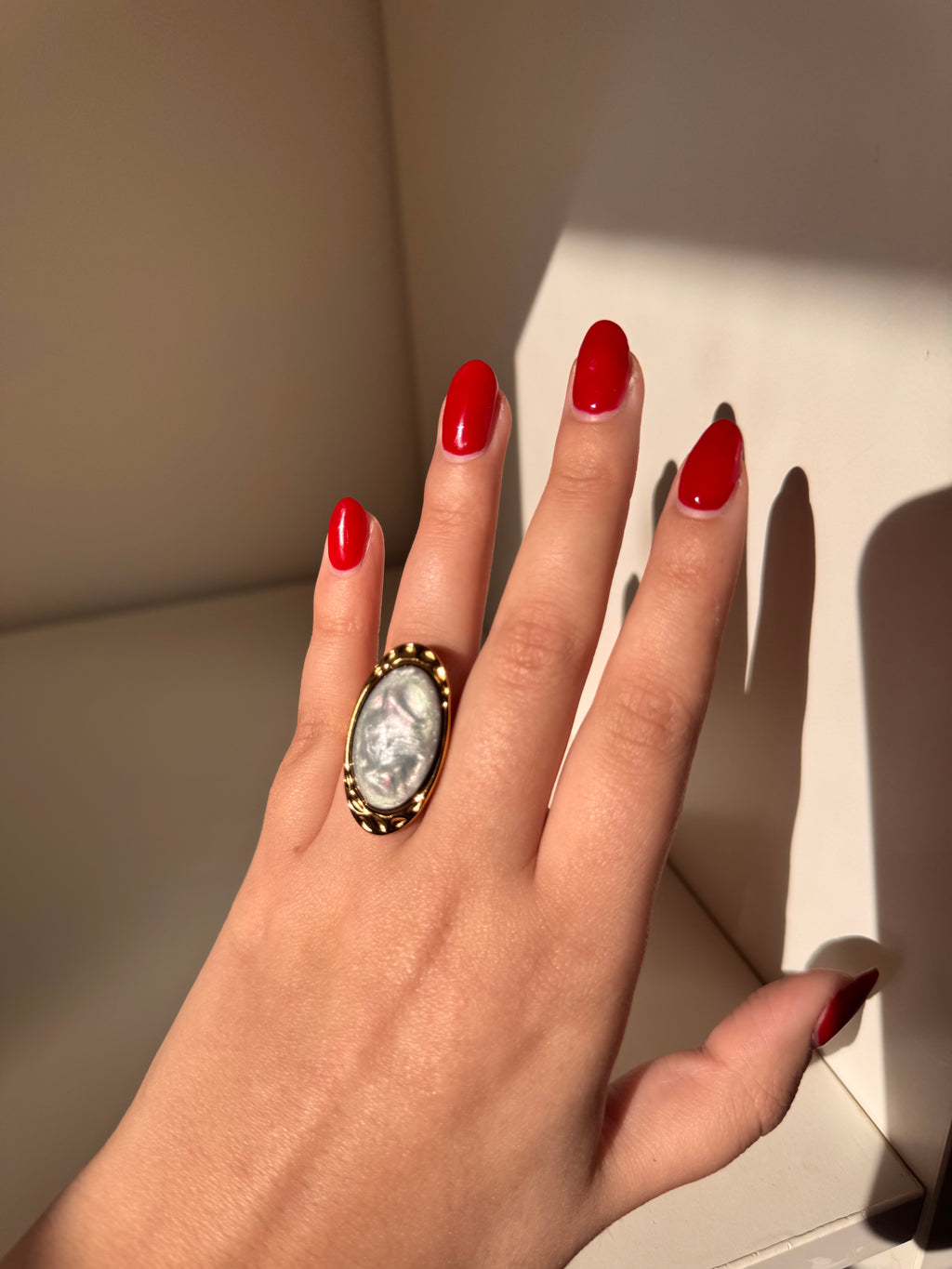 ANILLO BRILL