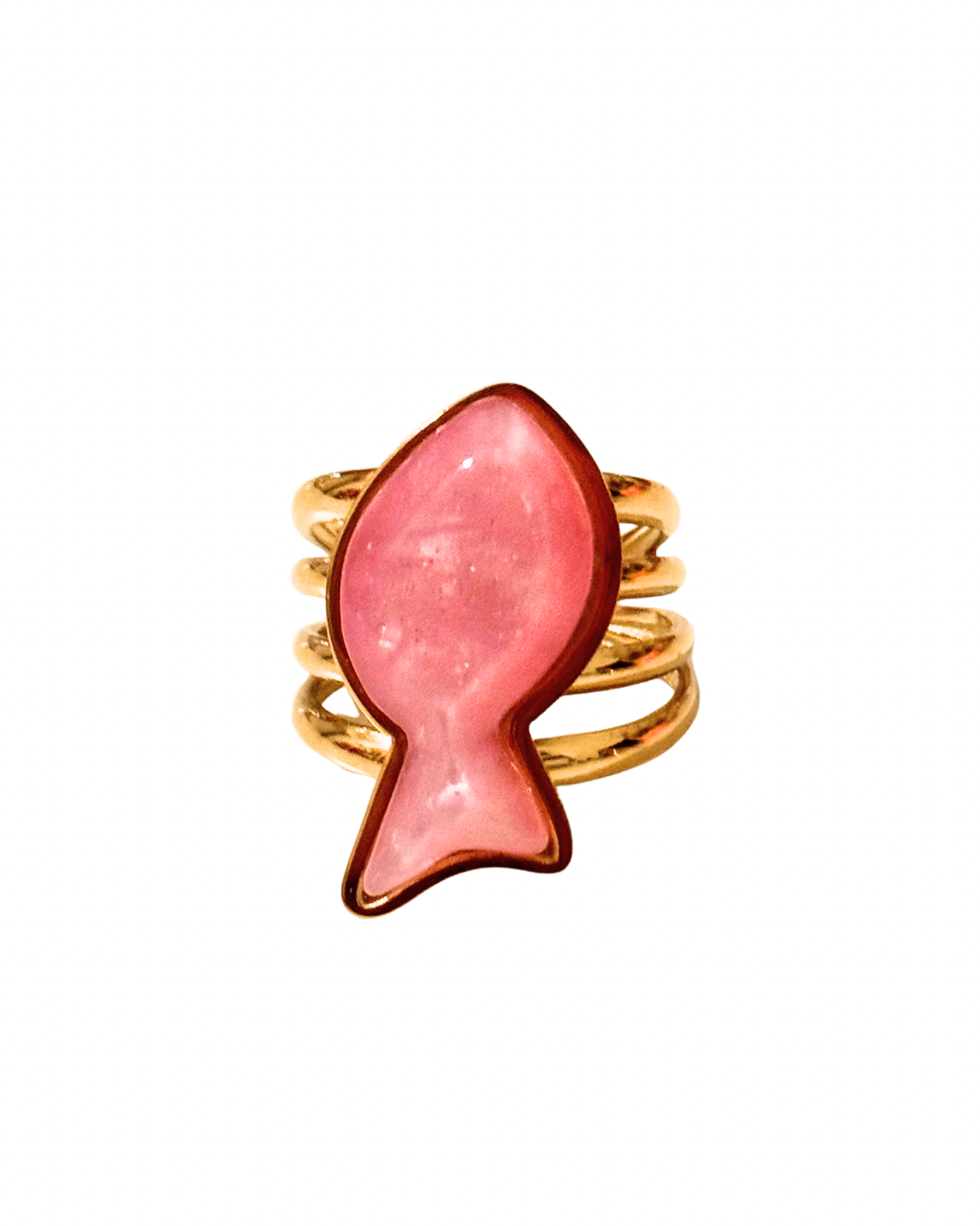 ANILLO FISH COLOUR