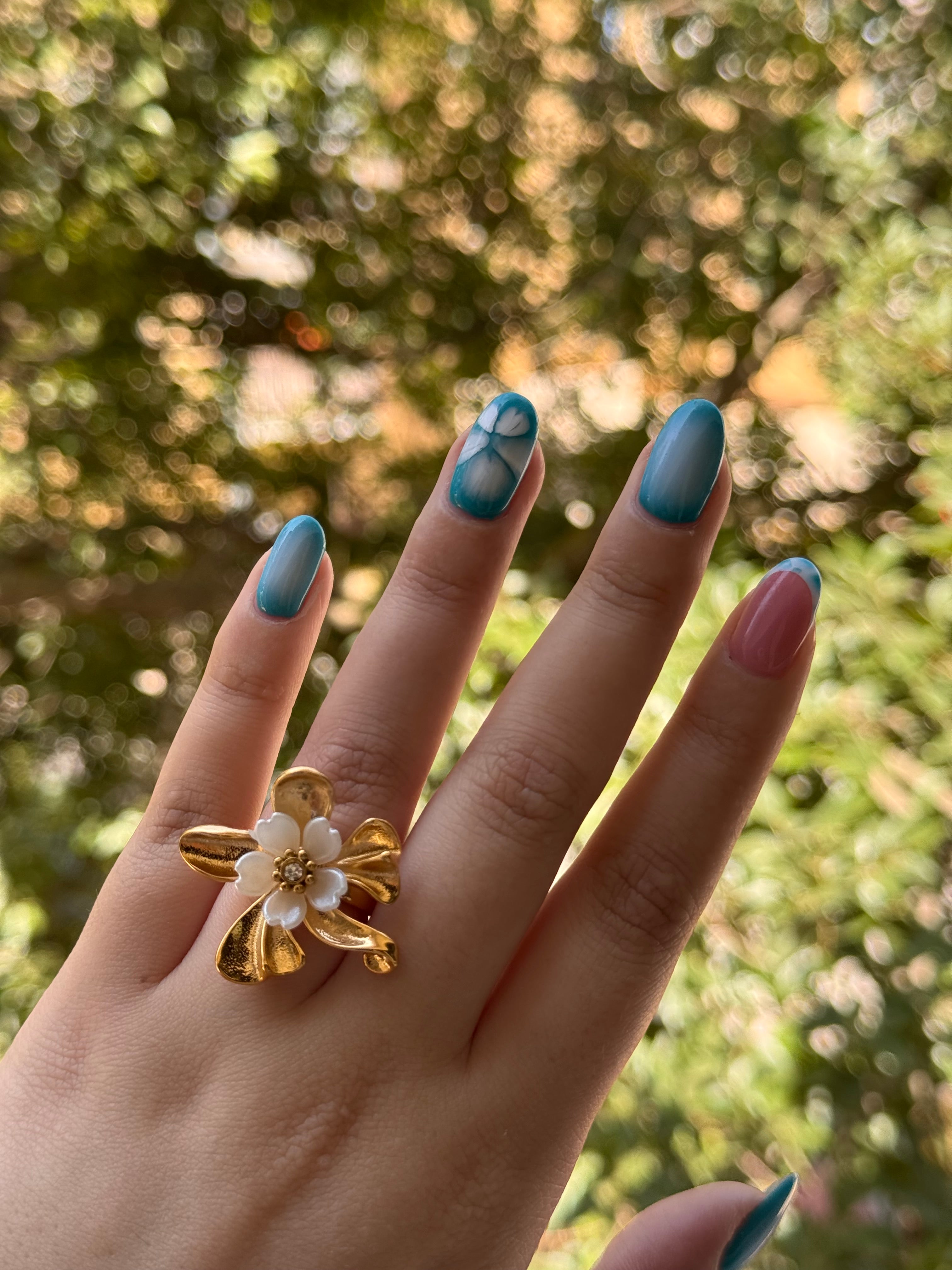 ANILLO ALEGRÍA