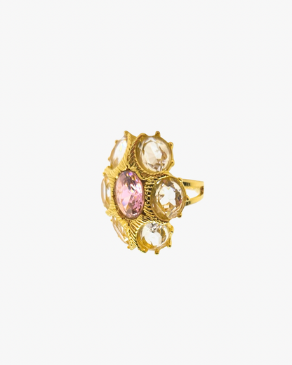 ANILLO MÁXIMO