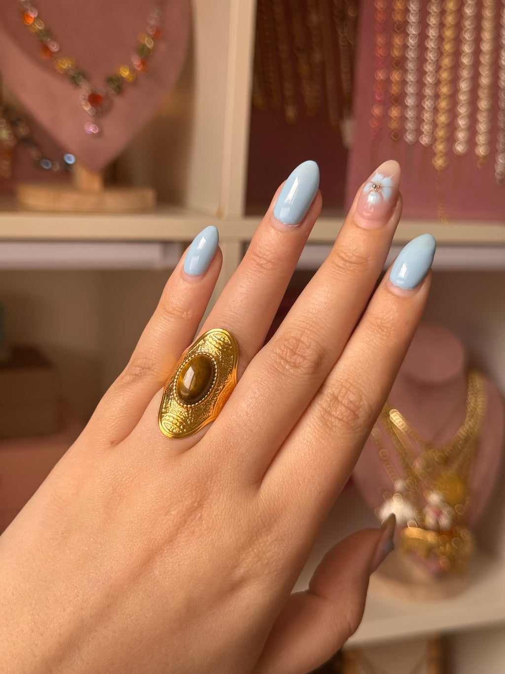ANILLO GUÍA