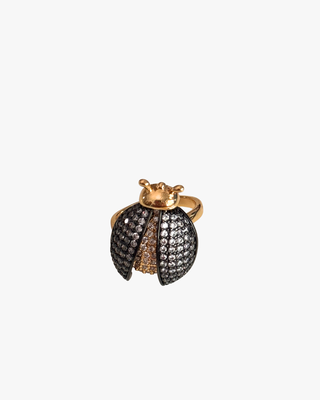 ANILLO MIRANDA