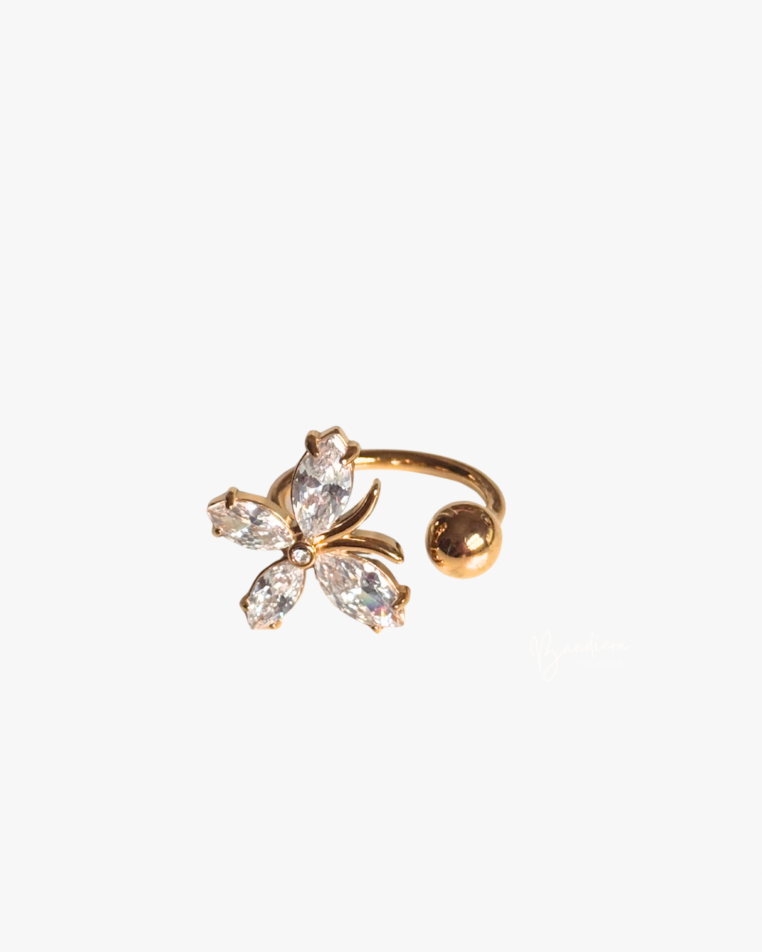 ANILLO EDÉN