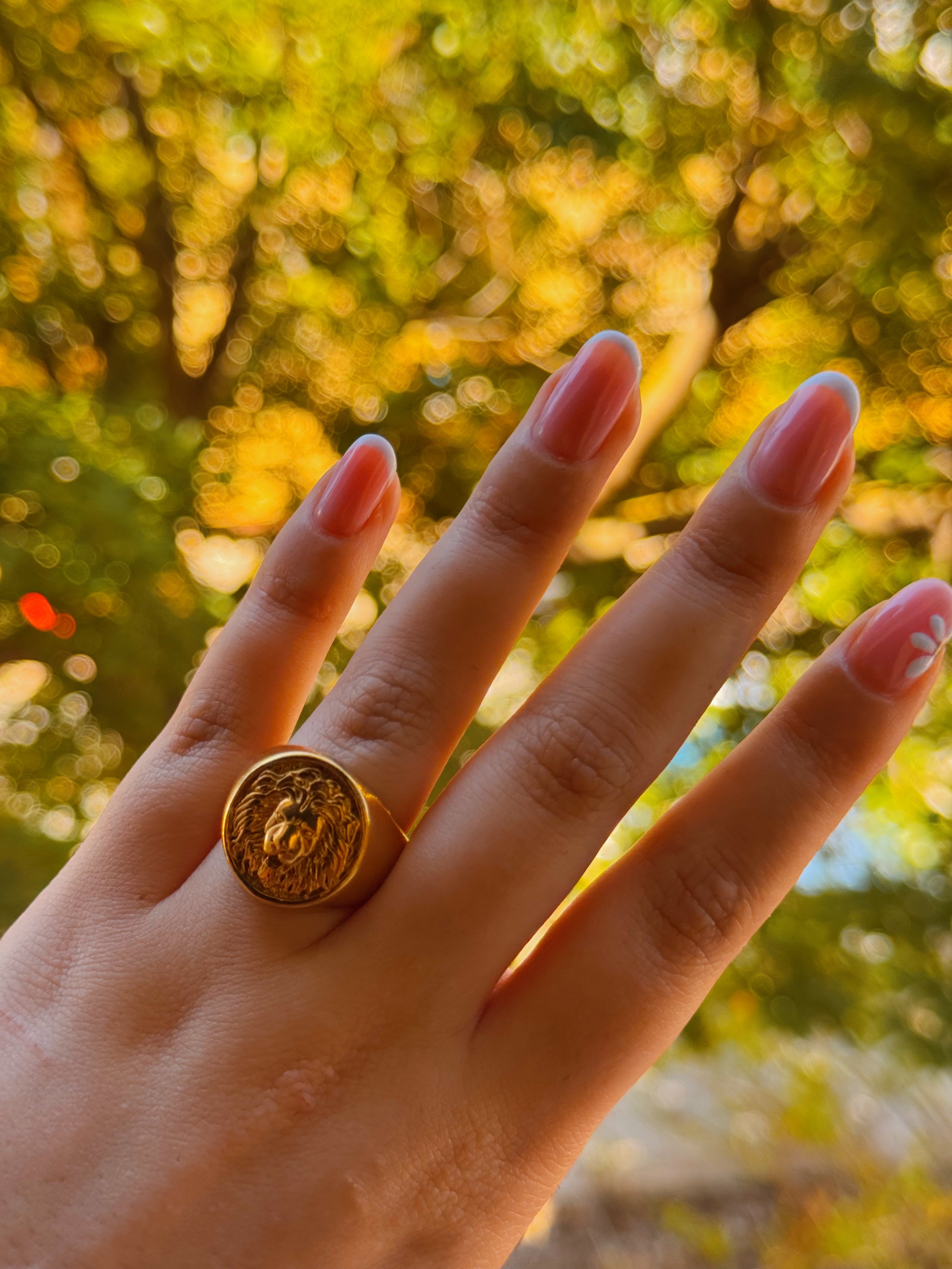 ANILLO LEÓNIDAS