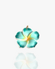 CHARM VAIANA