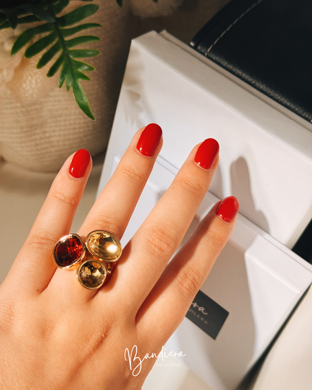 ANILLO ZELLA